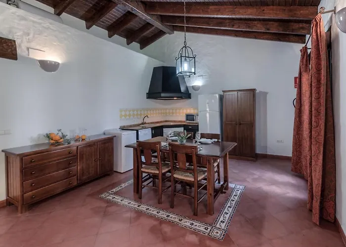 Hacienda Roche Viejo